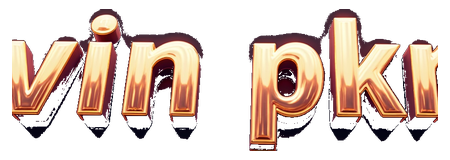 vin pkr logo
